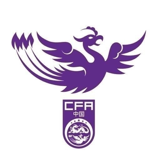  津媒：U17女足明日起兩戰(zhàn)日本定位整體實力，默契度有提升空間
